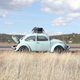 More VWs, more problems.